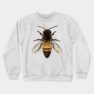 Real Bee Crewneck Sweatshirt